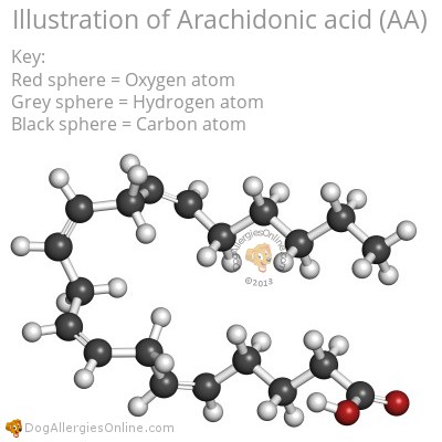 Eicosanoids, Arachidonic Acid and Allergies