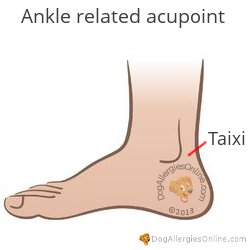 Nasal Congestion, Sinus Pressure and Acupoints - Ankle