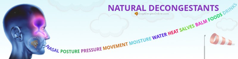 Natural Decongestants and Allergies