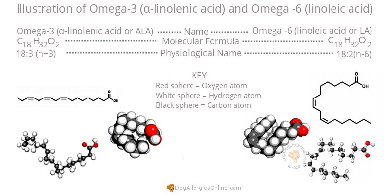Omega-3, Omega-6 and Allergies