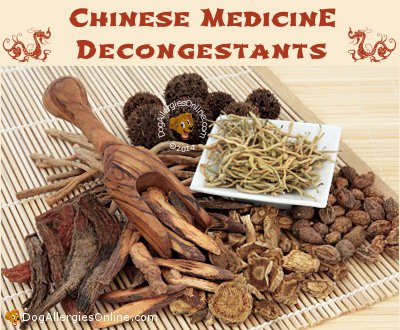 Traditional Chinese Medicine Decongestants