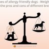 Types of Allergy Friendly Dogs
