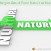 Do Allergies Result From Nature or Nurture?