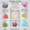 Allergies in Dogs Prevention | Controlling Common Dog Allergies